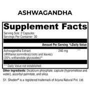 Stress and Energy Support Bundle